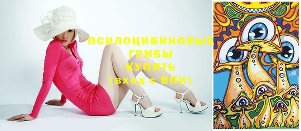 соль ск Аркадак