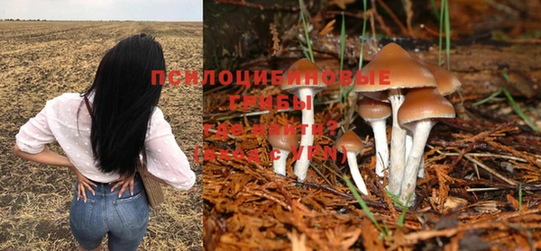 не бодяженный Беломорск
