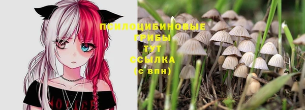соль ск Аркадак
